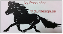 NYHET NR: 18 PASS