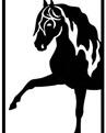 Reflex Lusitano