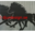 DECAL PACEL 3